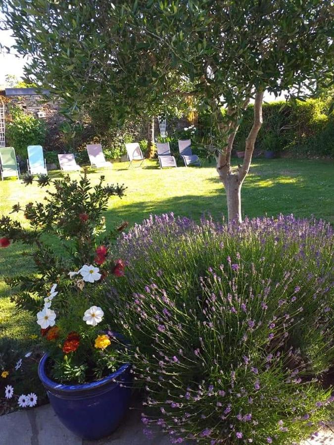 فندق Chez Michel Et Michele Calan المظهر الخارجي الصورة