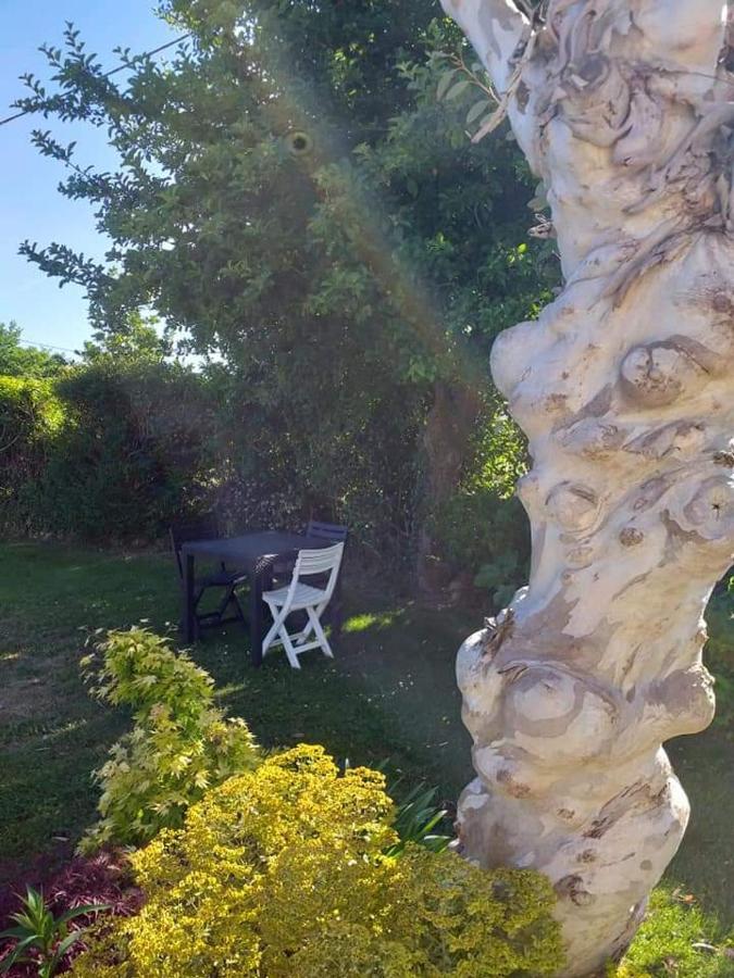 فندق Chez Michel Et Michele Calan المظهر الخارجي الصورة